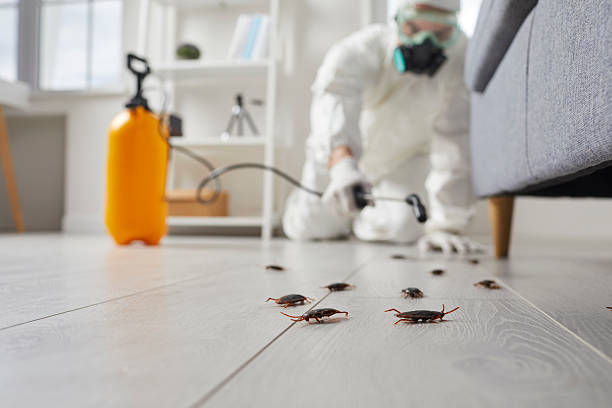 Commercial Kitchen Cockroach Control in Louisburg